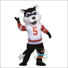 The Evolution of College Mascot Costumes: From Simple to Spectacular 