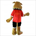 Bulldog Mascot Cartoon Mascot Costume