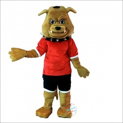 Bulldog Mascot Cartoon Mascot Costume