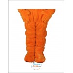 Lovely Carrot Mascot Costume