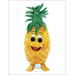 Pineapple Mascot Costume