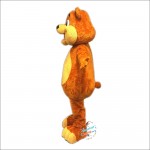 Cute Bear Mascot Costume