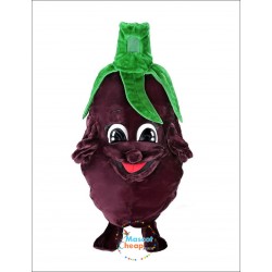 Eggplant Mascot Costume