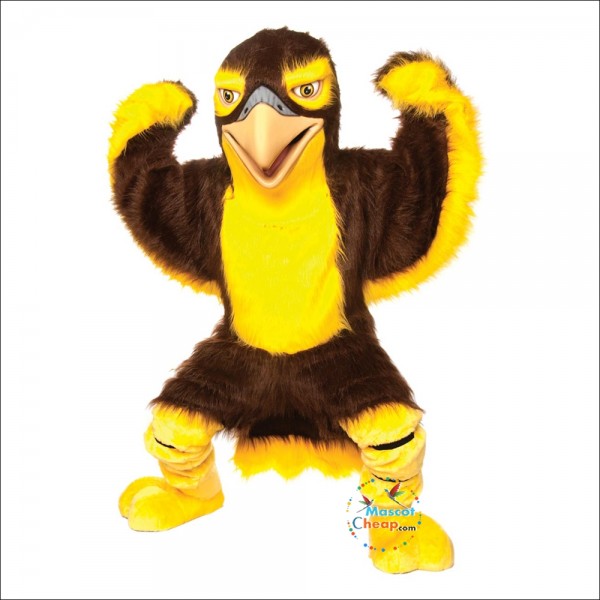 Friendly Falcon Mascot Costume