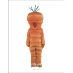 Giant Carrot Mascot Costume