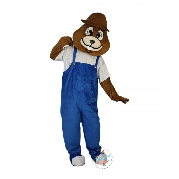 Gophers Mole Mouse Cartoon Mascot Costume