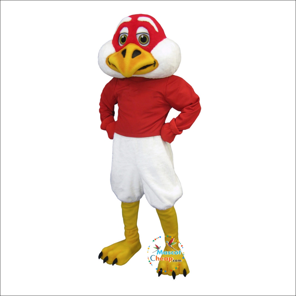 Handsome Falcon Mascot Costume for Cheap