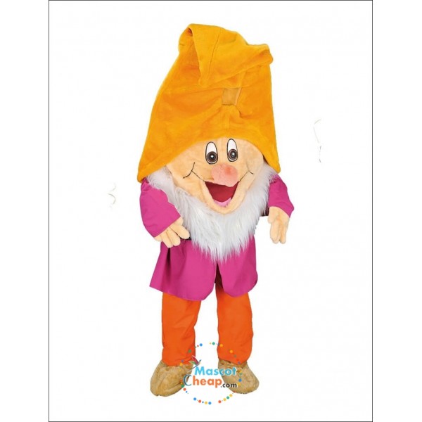 Happy 7 Dwarfs Mascot Costume