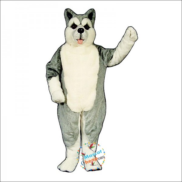 Husky Mascot Costume