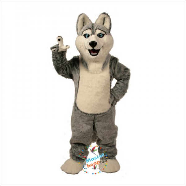 Husky Mascot Costume