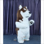 Husky Plush Inflatable Mascot Costume