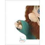 Leprechaun Mascot Costume