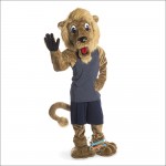 Lion King Mascot Costume