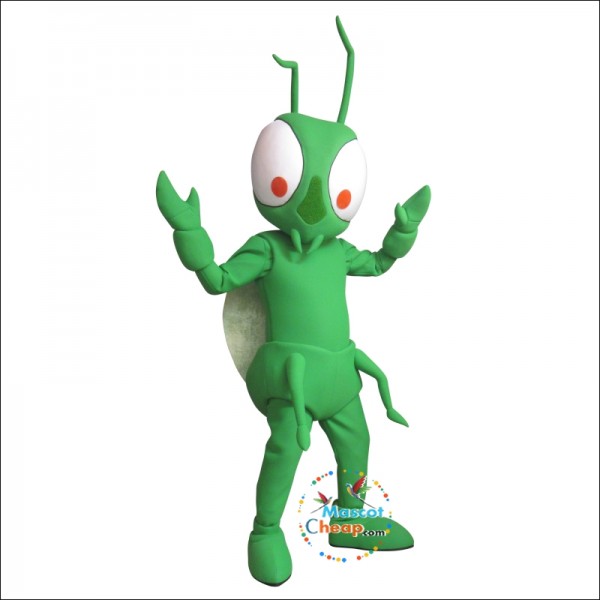 Handsome Mantis Mascot Costume