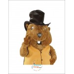 Marmot Mascot Costume