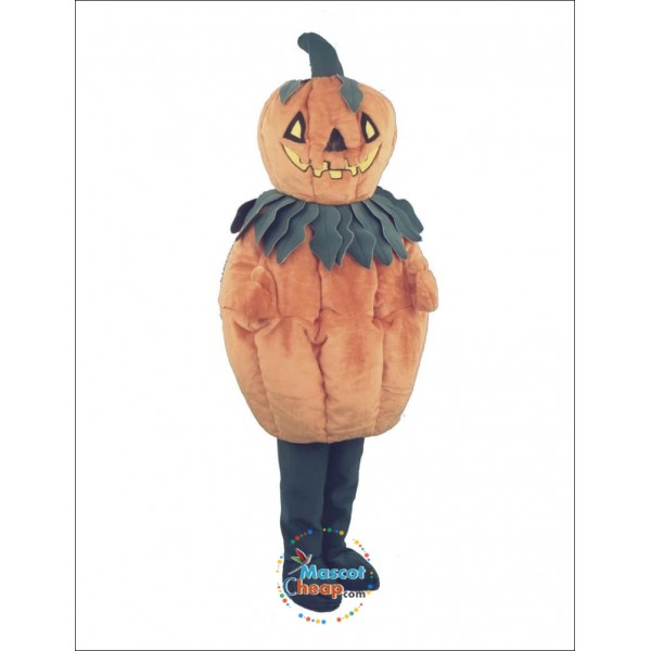 New Pumpkin Mascot Costume