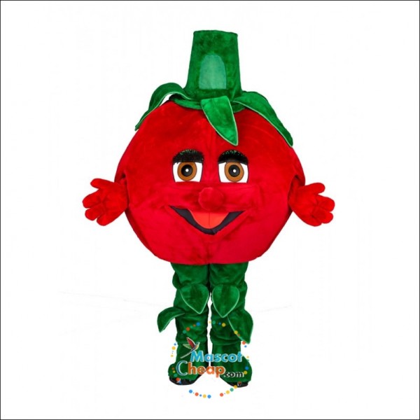 Tomato Mascot Costume