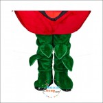 Tomato Mascot Costume