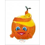 Orange Mascot Costume