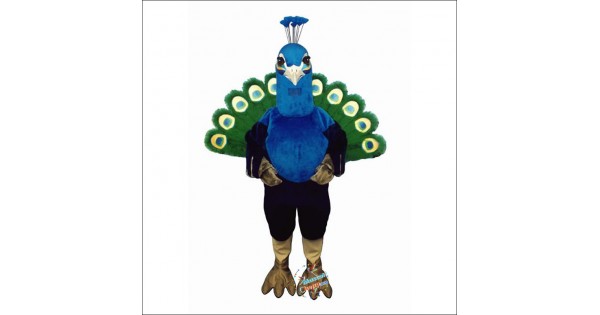 Madhulika Peacock fancy dress costume for School Annual function/Theme  Parties/Fancy Dress Competition/Stage Shows for Kids (4-6 years) Shoulder  to Bottom Length 36 inch. Kids Costume Wear Price in India - Buy Madhulika