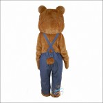 Plush Bear Custom made Mascot Costume