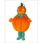 Pumpkin stuffed mascot costumes