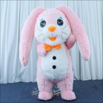 Rabbit Pink Bunny Inflatable Mascot Costume