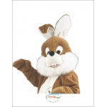 White belly Rabbit Mascot Costume