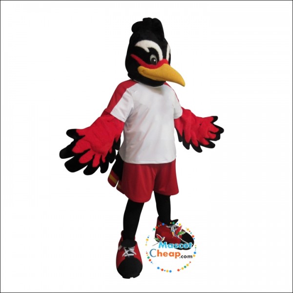 Rio Bird Mascot Costume