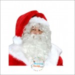 Santa Christmas Mascot Costume