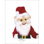 Santa Christmas Mascot Costume