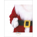 Santa Christmas Mascot Costume