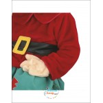 Santa Christmas Mascot Costume