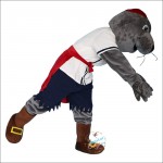 Sea Lion Seal Walrus Cartoon Mascot Costume