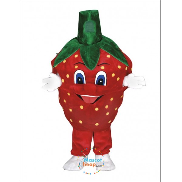 Strawberry Mascot Costume