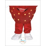 Strawberry Mascot Costume