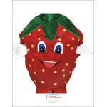 Strawberry Mascot Costume