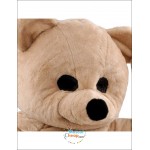 Teddy Bear Mascot Costume