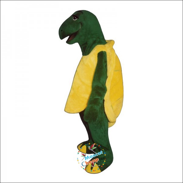 Tortoise Mascot Costume