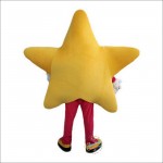 Yellow Five-Pointed Star Cartoon Mascot Costume